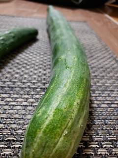 20190710_205235.jpg