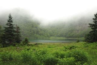 DSC_0718.jpg