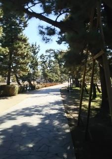 DSC_1198.jpg