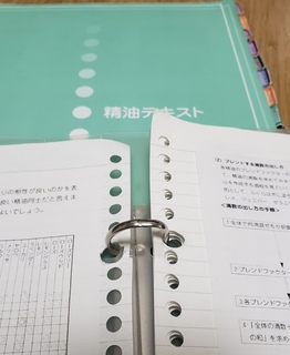 fullsizeoutput_26bb.jpeg